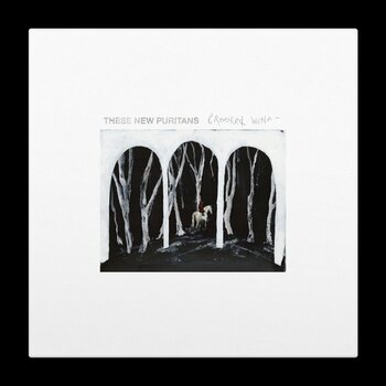 Disque vinyle These New Puritans - Crooked Wing (Black Coloured) (LP) - 1