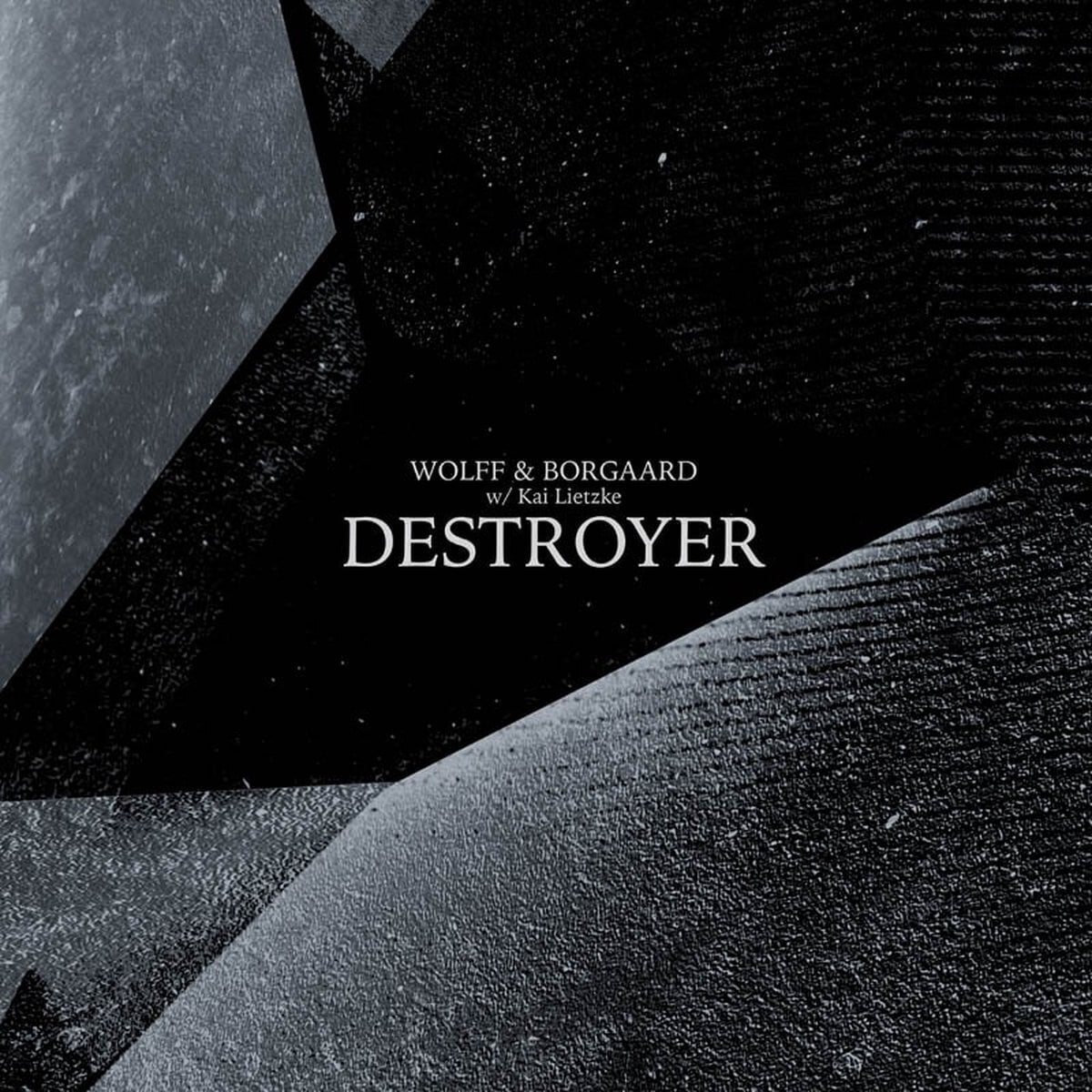 Disque vinyle Peter Wolff Peter Wolff & Frank Borgaard Jensen - Destroyer (LP)