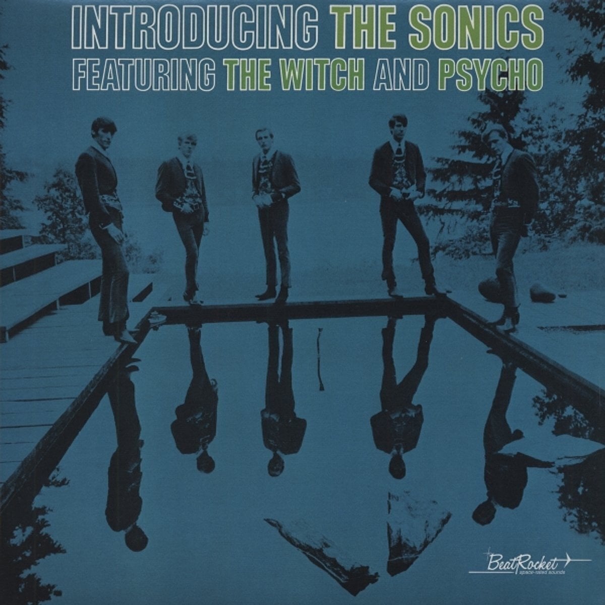 Schallplatte The Sonics - Introducing The Sonics (Reissue) (180 g) (LP)