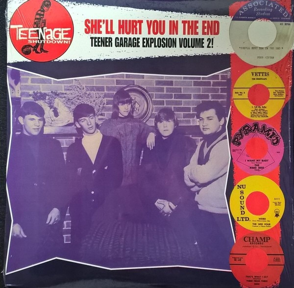 Disco de vinil Various Artists - She'll Hurt You In The End (LP)