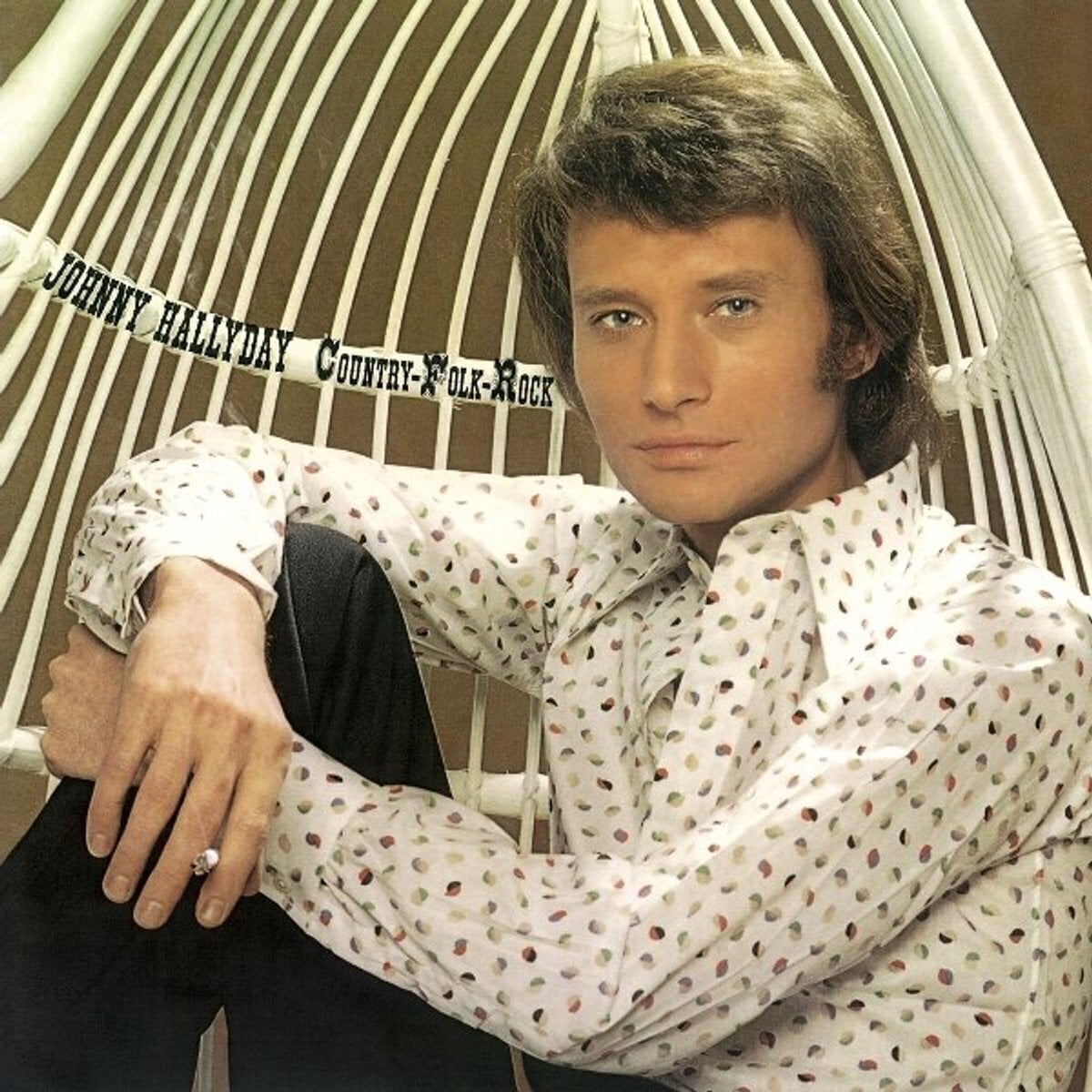 Vinyl Record Johnny Hallyday - Country Rock Folk (Reissue) (2 LP)