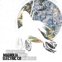 Vinyl Record Magnolia Electric Co. - What Comes After The Blues (Reissue) (LP)