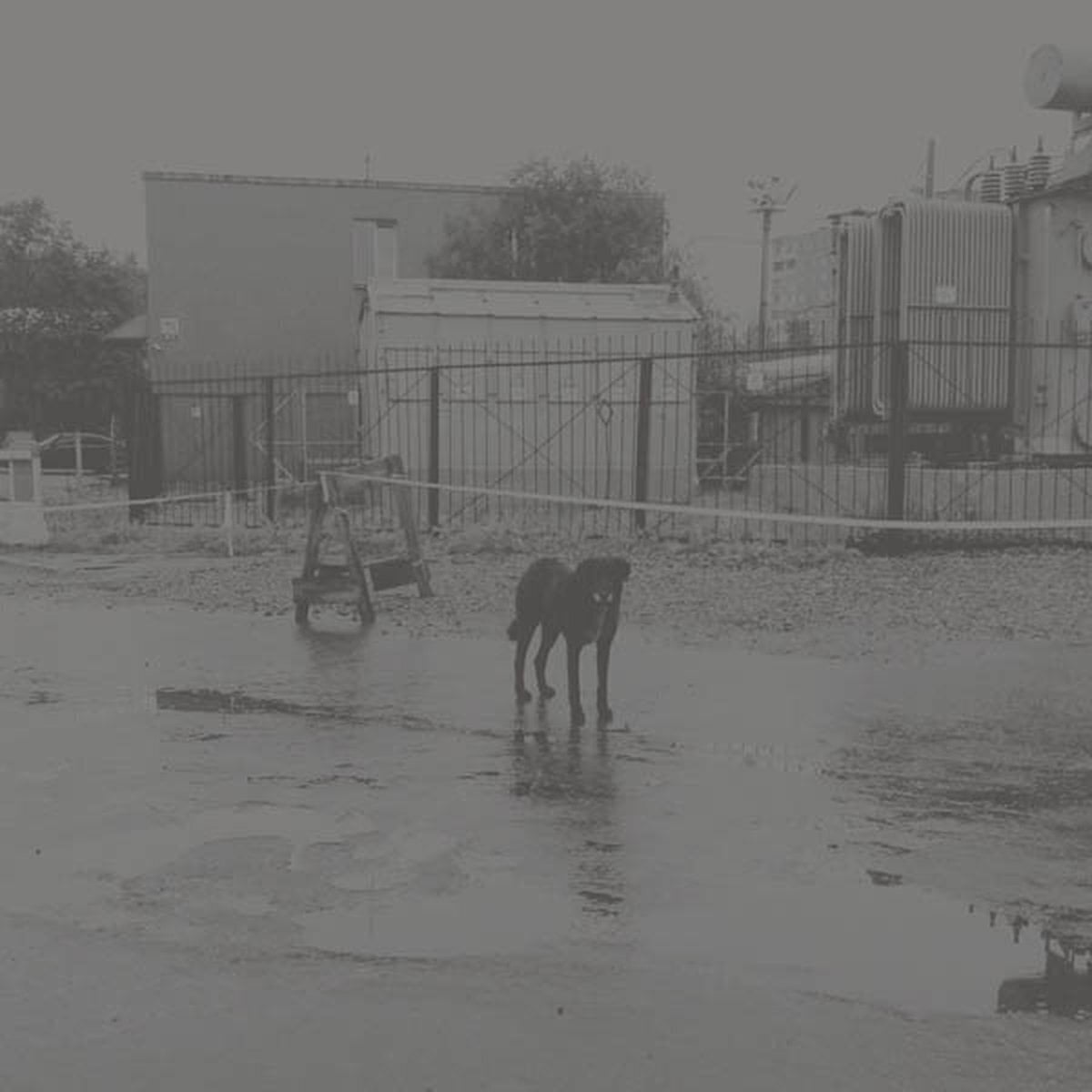 Płyta winylowa Nivhek - After Its Own Death / Walking In A Spiral Towards The House (Liz Harris) (2 LP)