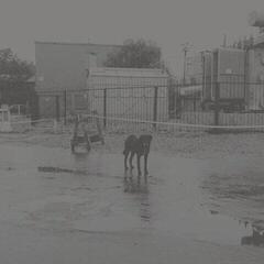 Płyta winylowa Nivhek - After Its Own Death / Walking In A Spiral Towards The House (Liz Harris) (2 LP)