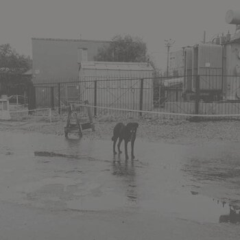 Płyta winylowa Nivhek - After Its Own Death / Walking In A Spiral Towards The House (Liz Harris) (2 LP) - 1