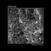 Disque vinyle Iron Lung - Adapting // Crawling (LP)