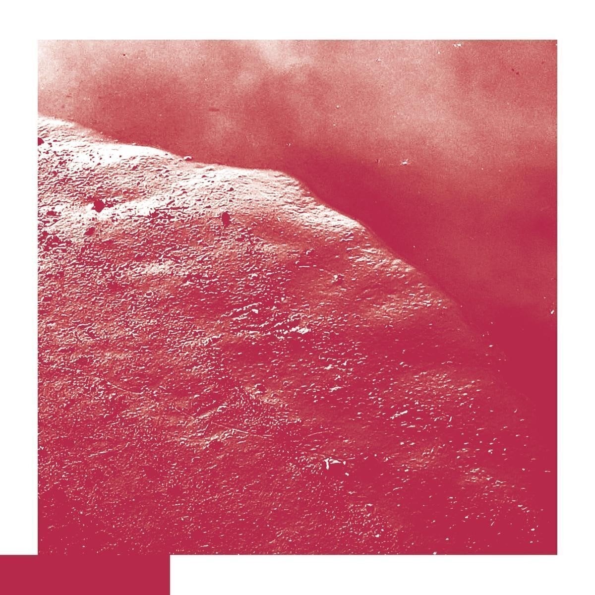 LP deska David Allred - The Cell (LP)