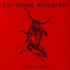 Вінілові платівки Discordant Meditation - Discordant Meditation (LP)