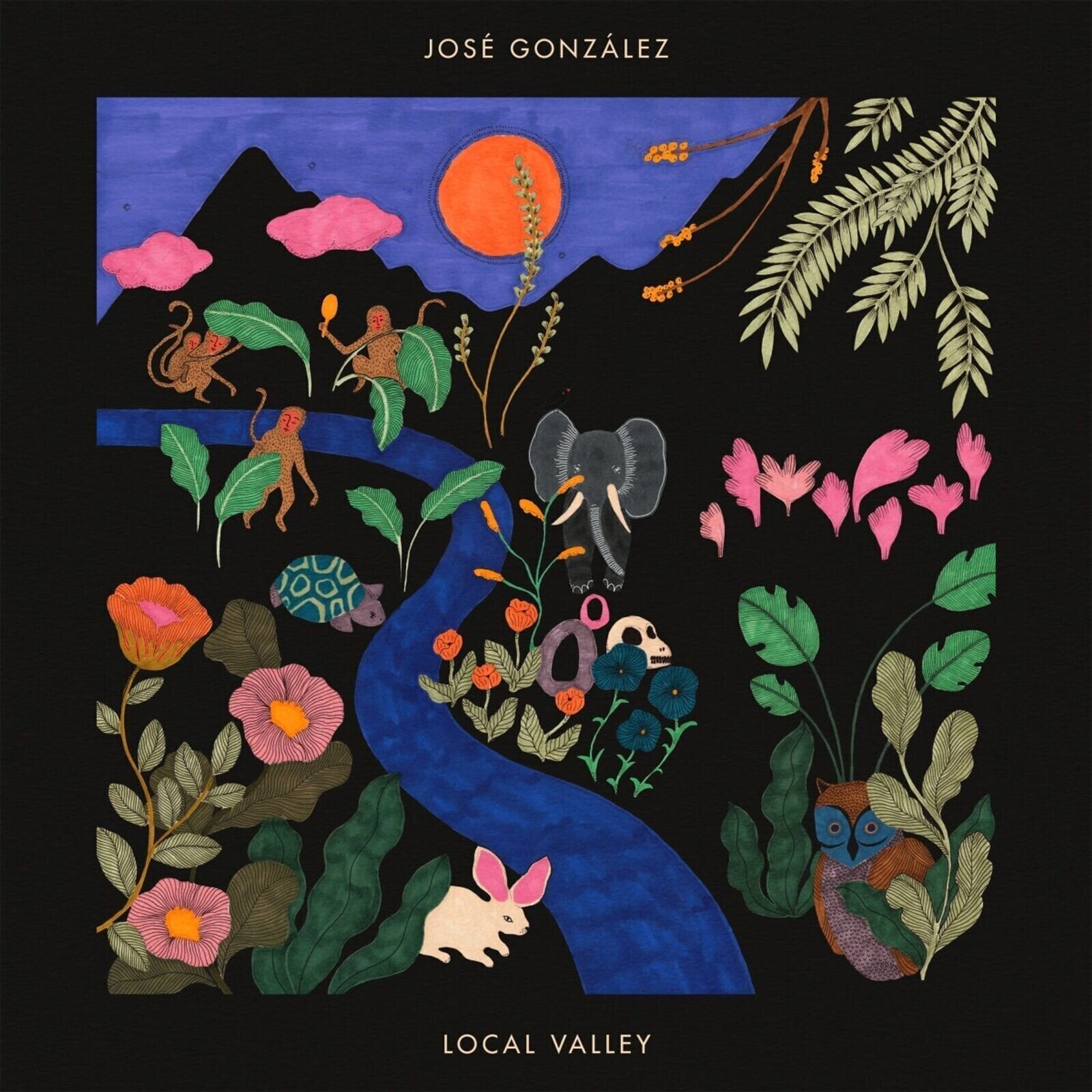 Vinyl Record José González - Local Valley (Limited Edition) (LP)