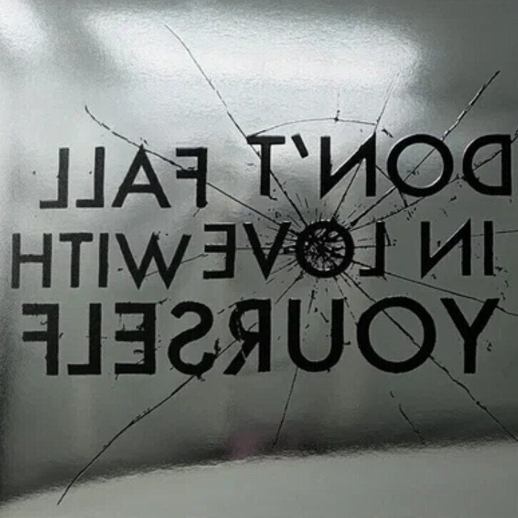 Disco de vinilo Various Artists - Don't Fall In Love With Yourself (LP)