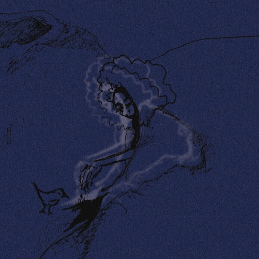 Disco de vinil Polar Bear - Dim Lit (Limited Edition) (2 LP)