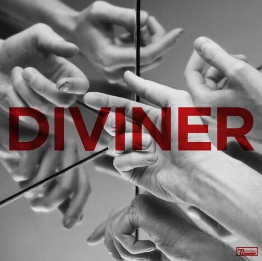 Disco de vinil Hayden Thorpe - Diviner (Limited Edition) (180 g) (LP)