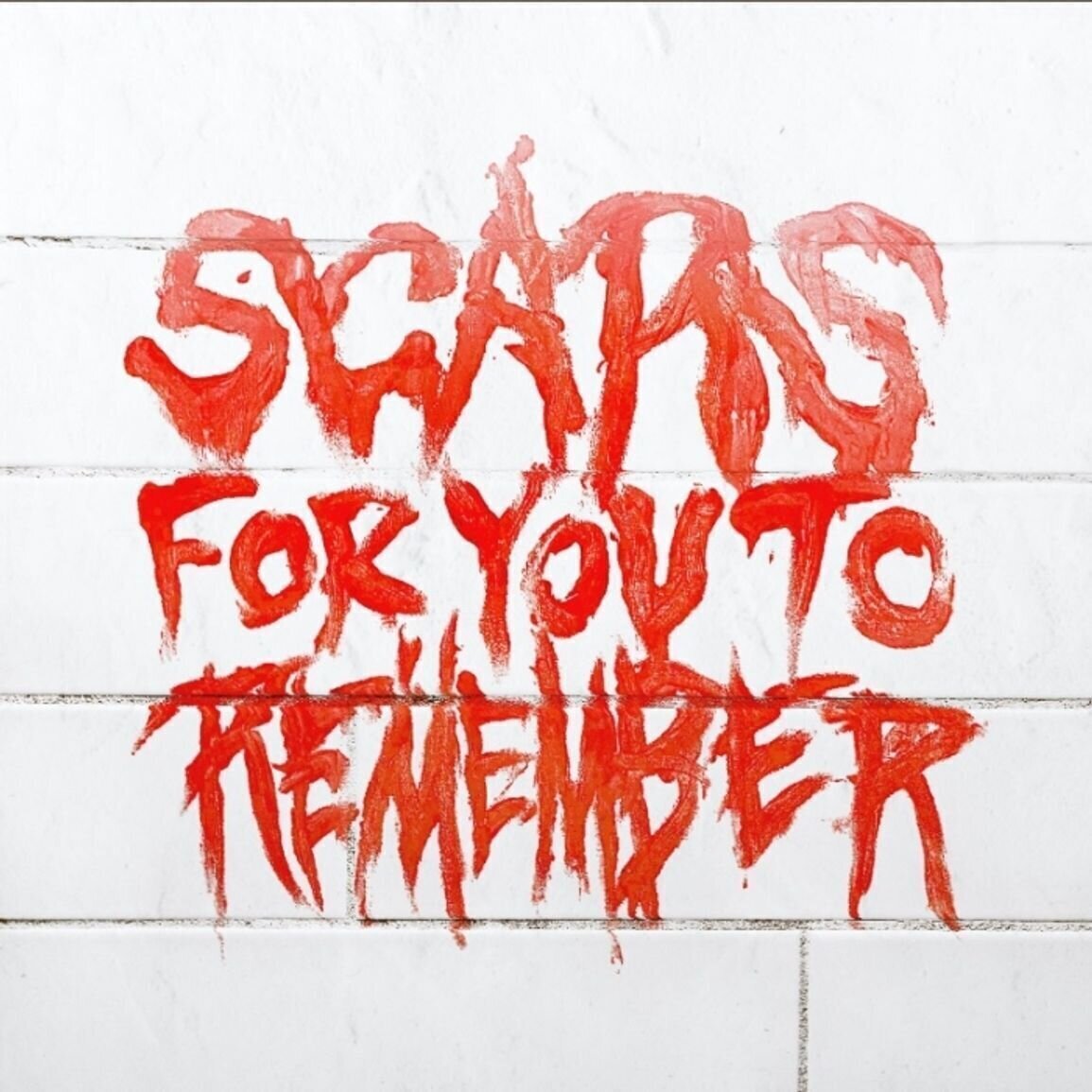 Schallplatte Varials - Scars For You To Remember (Special Edition) (LP)