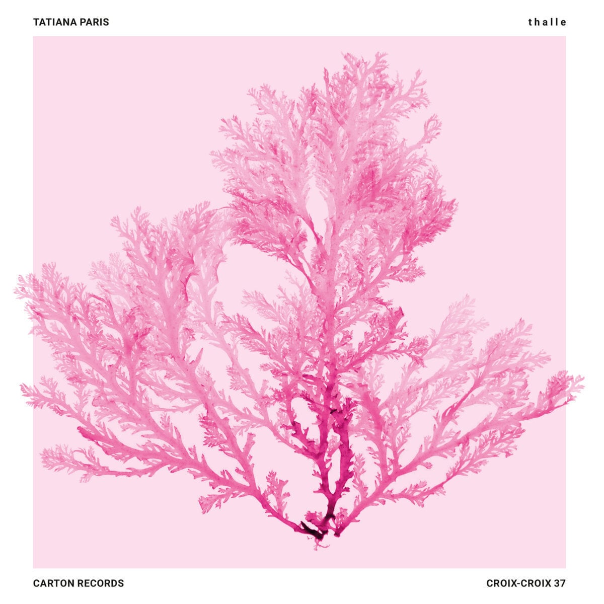 Вінілові платівки Tatiana Paris - T H A L L E (LP)