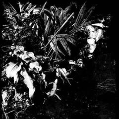 Disco de vinilo Jeff Mertens - Orchid Alto (LP)