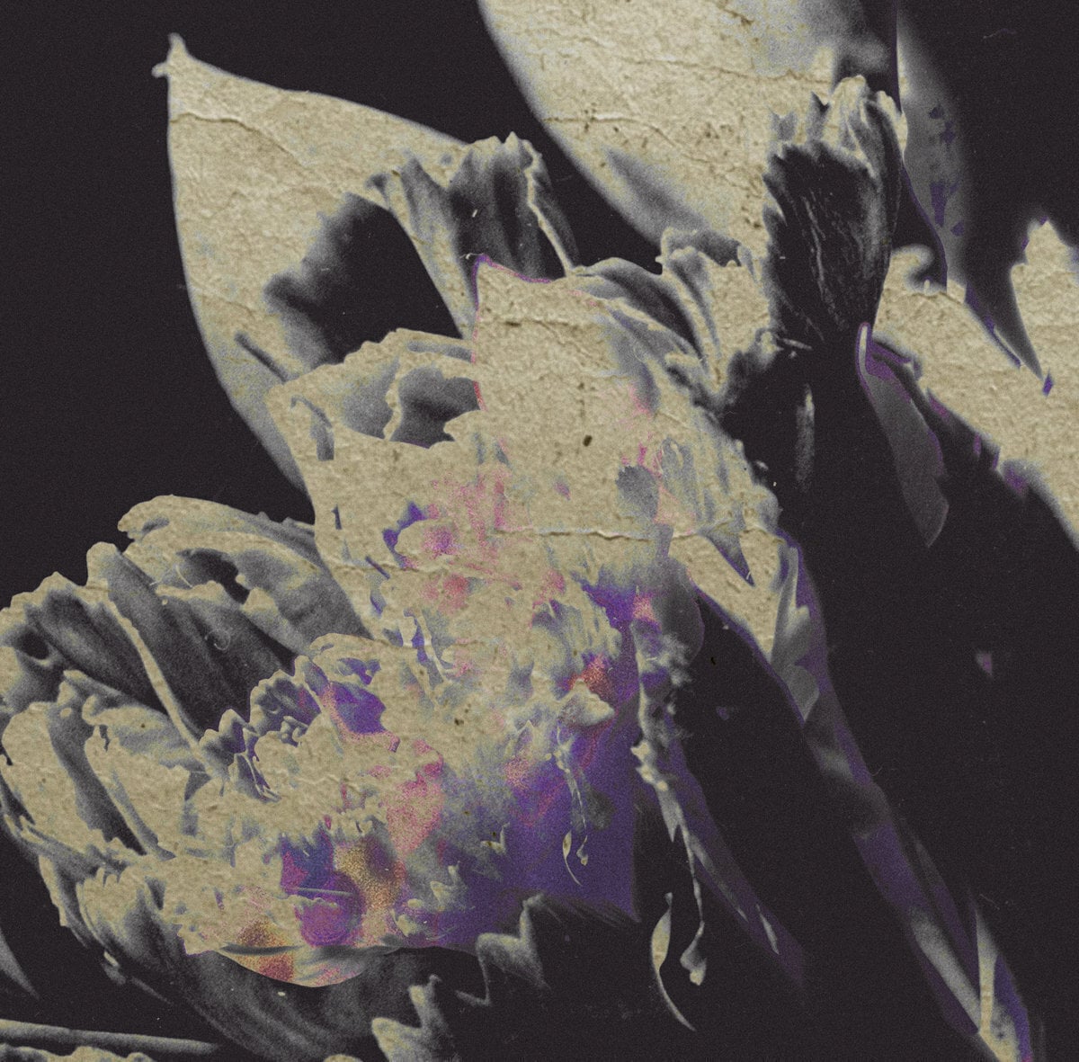 Vinüülplaat Various Artists - Traversee 04 - Moving Silhouettes (LP)