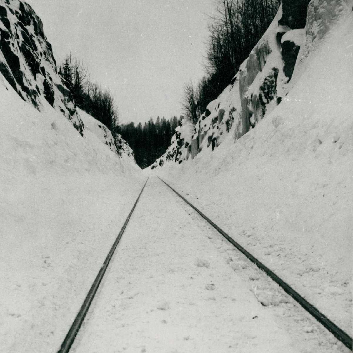 Vinüülplaat Microtub - Thin Peaks (LP)