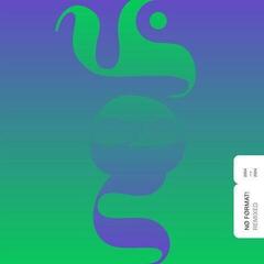 LP ploča Various Artists - No Format! Remixed 2004->2024 (LP)