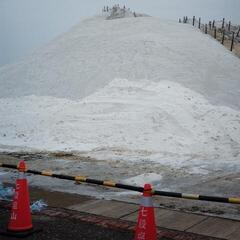 Vinyl Record Jing - Artificial Salvation (LP)