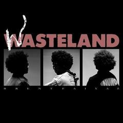 Vinüülplaat Brent Faiyaz - Wasteland (Reissue) (2 LP)