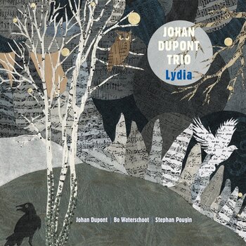 Vinyylilevy Johan Dupont Trio - Lydia (LP) - 1