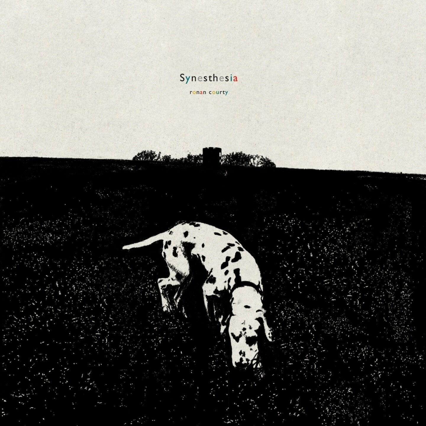 Vinyylilevy Ronan Courty - Synesthesia (LP)