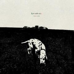 Schallplatte Ronan Courty - Synesthesia (LP)