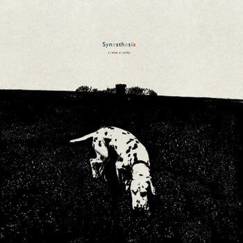 Vinyylilevy Ronan Courty - Synesthesia (LP) - 1
