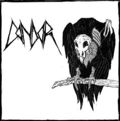 Vinyl Record Condor - Singles 2017-2018 (LP)