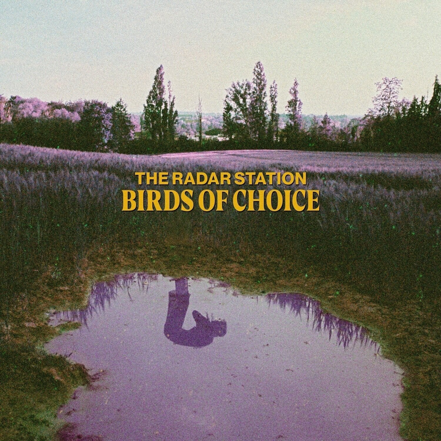 Грамофонна плоча The Radar Station - Birds Of Choice (LP)