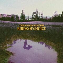 LP ploča The Radar Station - Birds Of Choice (LP)