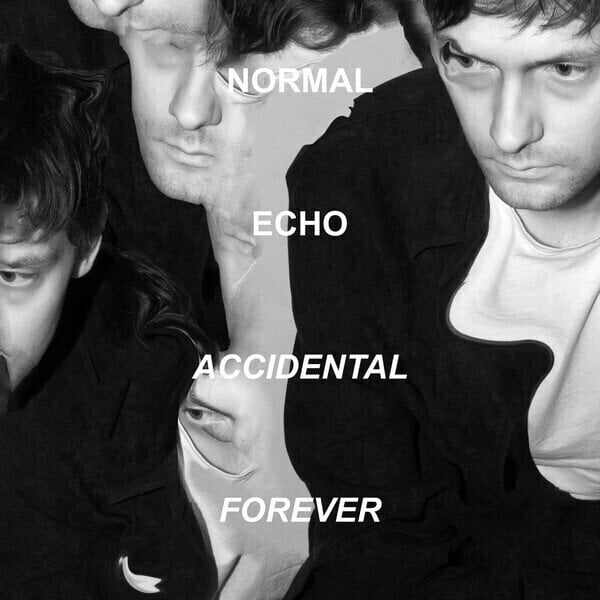 Вінілові платівки Normal Echo - Accidental Forever (LP)