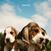 LP Noonzy - Puppies (LP)