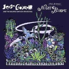 Musik-CD Jeff Goldblum & The Mildred Snitzer Orchestra - Night Blooms (CD)