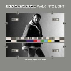 Vinyl Record Ian Anderson - Walk Into Light (140 g) (LP)