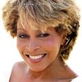Tina Turner - Wildest Dreams (30th Anniversary Edition) (140 g) (2 LP)