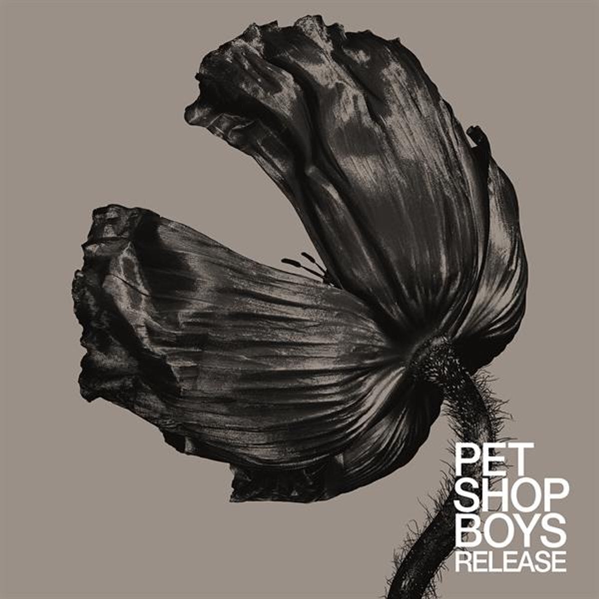 CD de música Pet Shop Boys - Release (Reissue) (CD)