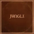 Jungle - Sunshine (LP)