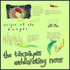 Disco de vinil The Taxpayers - Exhilarating News (LP)