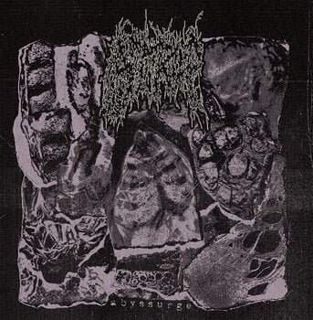 Vinylplade Strup - Abyssurge (LP) - 1