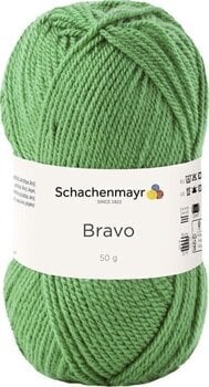 Kudumislõng Schachenmayr Bravo 8191 Kudumislõng - 1