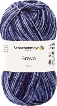 Kudumislõng Schachenmayr Bravo 8354 Kudumislõng - 1