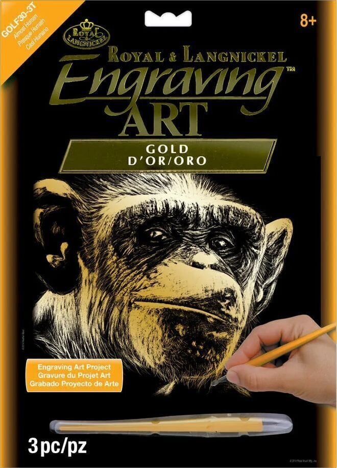 Slikanje po brojevima Royal & Langnickel Slikanje po brojevima 3 kom