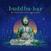 Vinyl Record Rich.vom.Dorf. & Ravin - Buddha-Bar By Rich Vom Dorf And Ravin (Coloured) (2 LP)