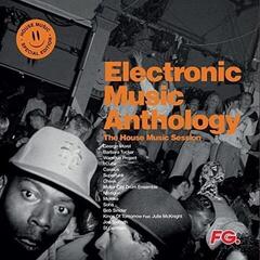 Disc de vinil Various Artists - Electronic Music Anthology - The House Music Session (2 LP)