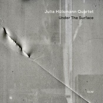 LP ploča Julia Hülsmann Quartet - Under The Surface (LP) - 1