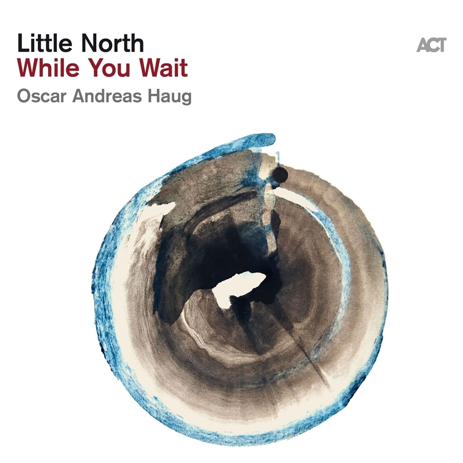 Disc de vinil Little North & Oscar Andreas Haug - While You Wait (180 g) (LP)
