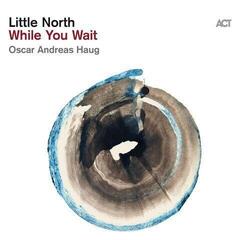 Disc de vinil Little North & Oscar Andreas Haug - While You Wait (180 g) (LP)