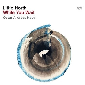 Disc de vinil Little North & Oscar Andreas Haug - While You Wait (180 g) (LP) - 1