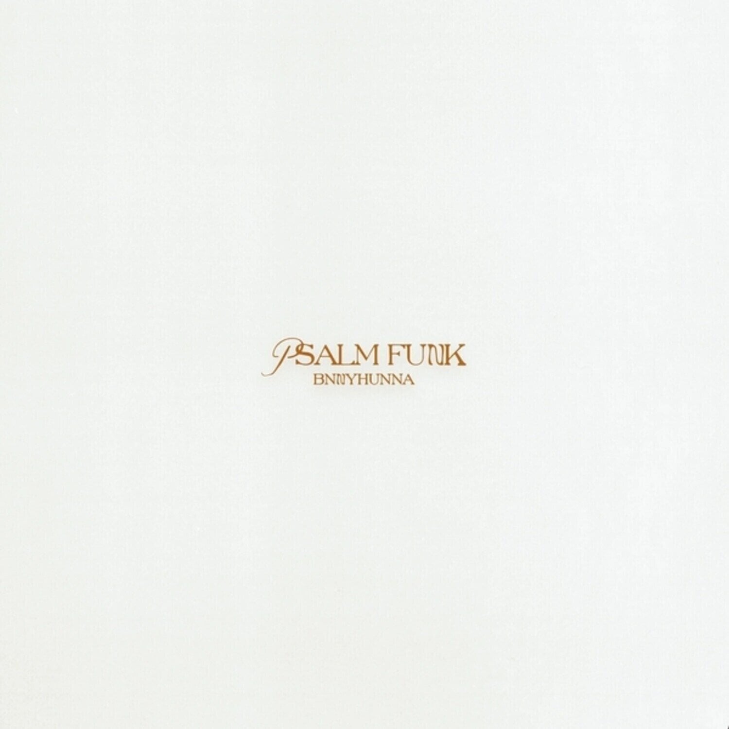 Vinyl Record Bnnyhunna - Psalm Funk (Coloured) (LP)